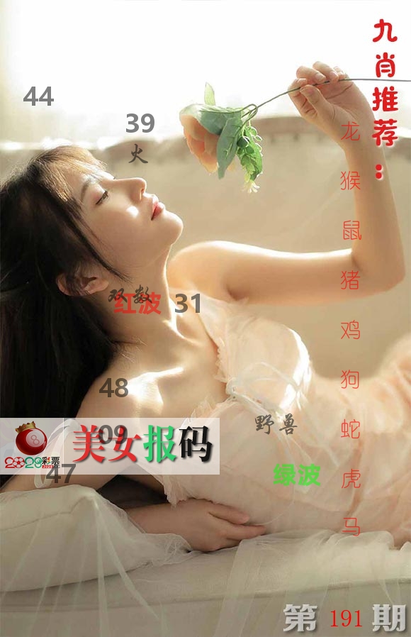 美女报码 第191期