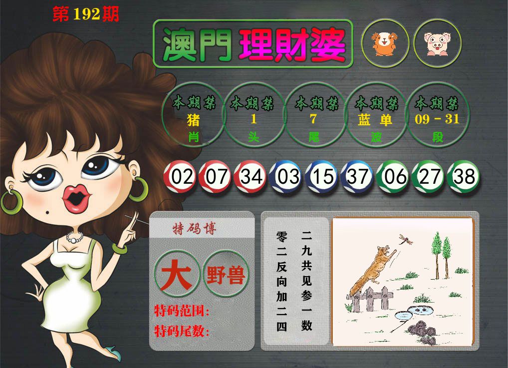 理财婆 第192期