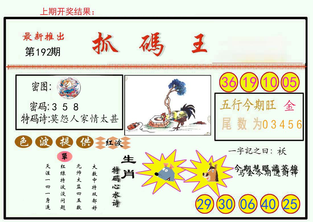 最新抓码王 第192期