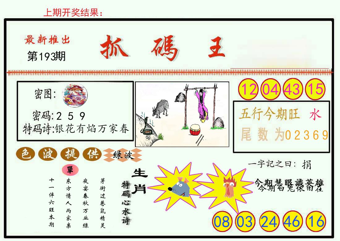 最新抓码王 第193期