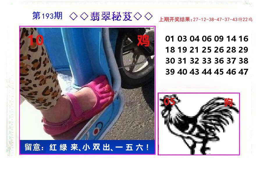 翡翠秘芨 第193期