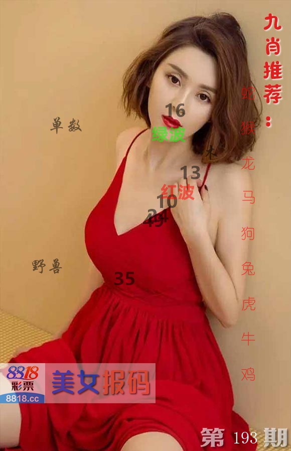 美女报码 第193期