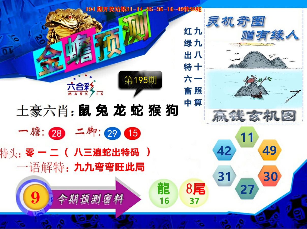 金蟾预测 第195期