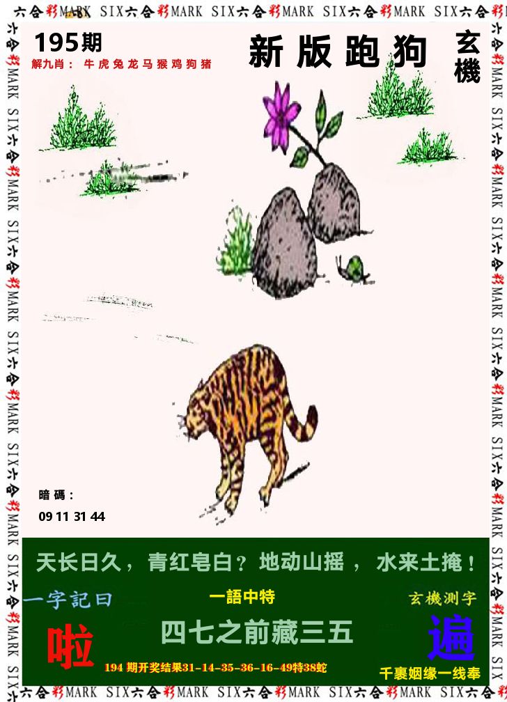 悟入其图 第195期