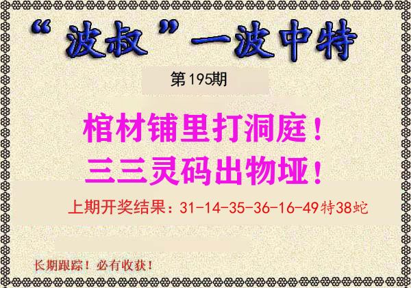 波叔中特 第195期