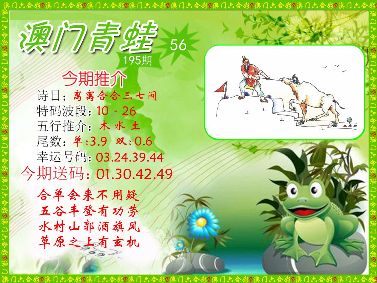 青蛙系列56 第195期