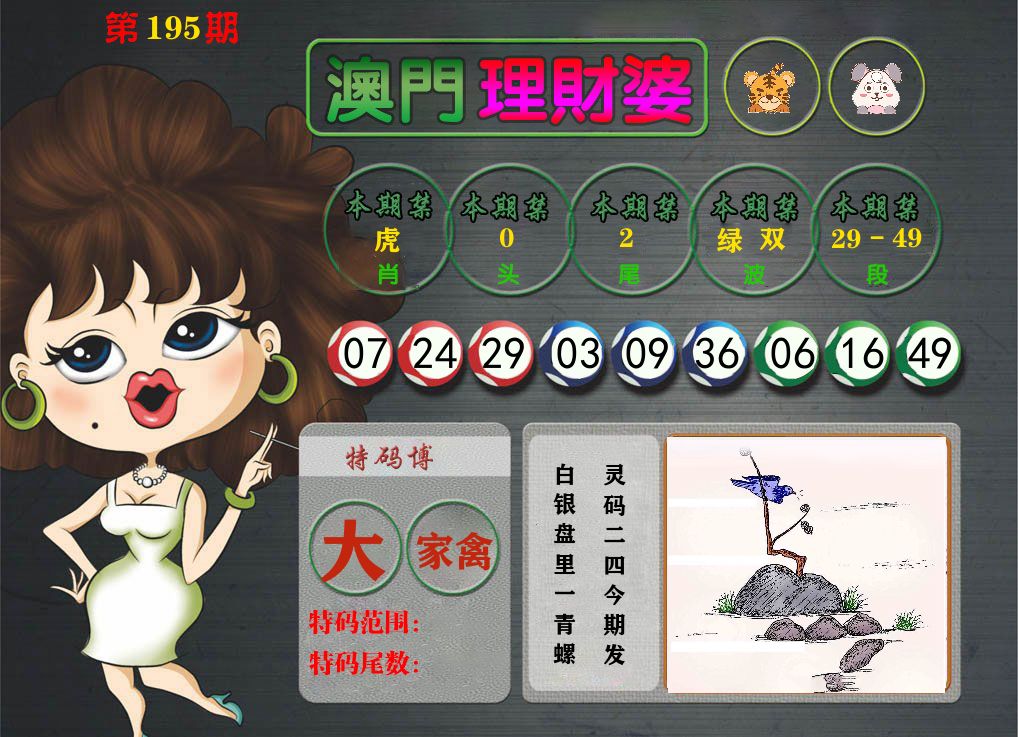 理财婆 第195期