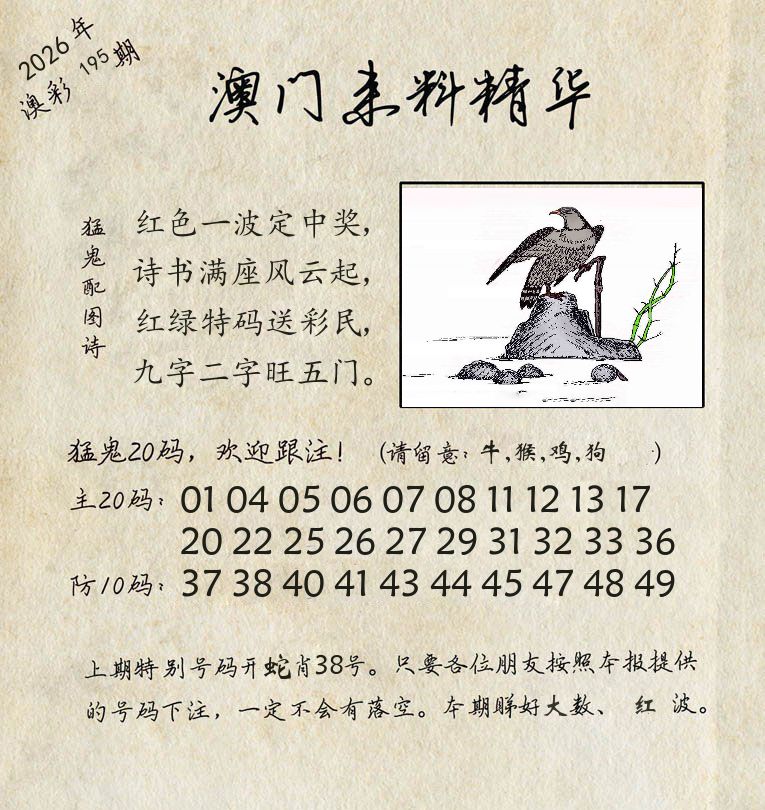 精华来料 第195期
