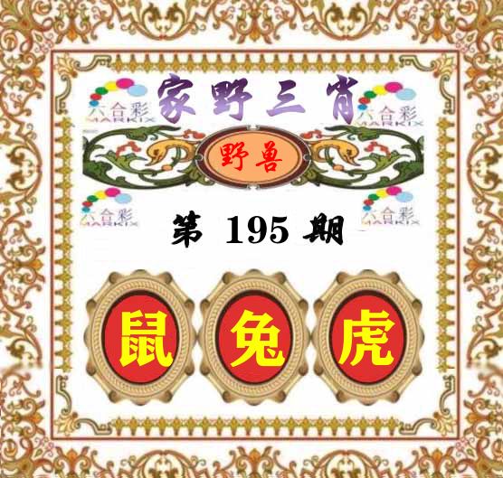 家野三肖 第195期