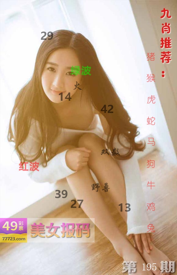 美女报码 第195期