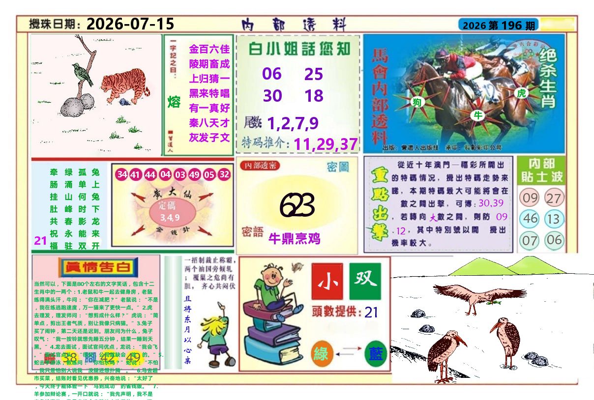 澳门内部透料A 第196期