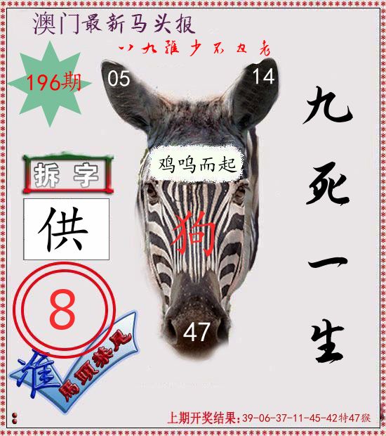 马头报 第196期