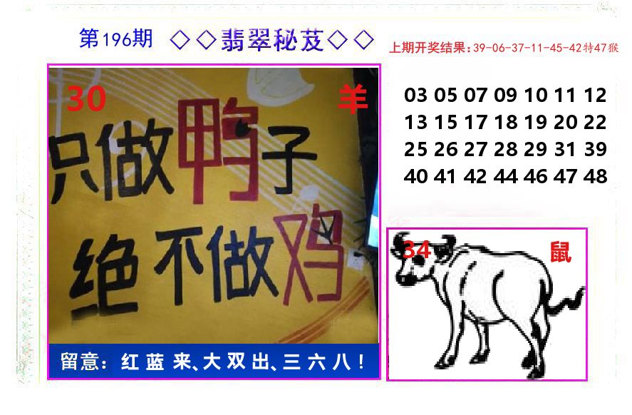 翡翠秘芨 第196期