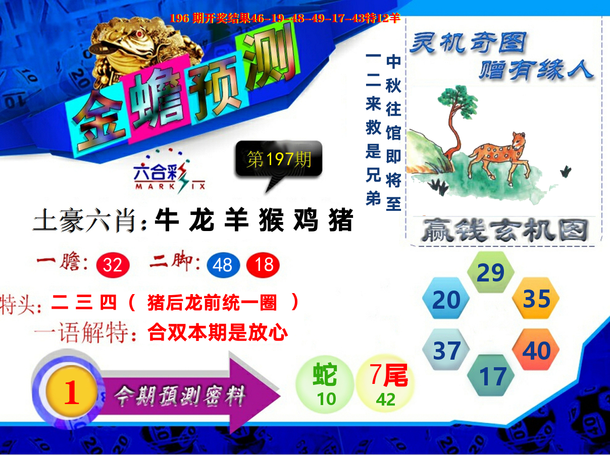 金蟾预测 第197期