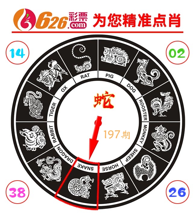 精准点肖 第197期