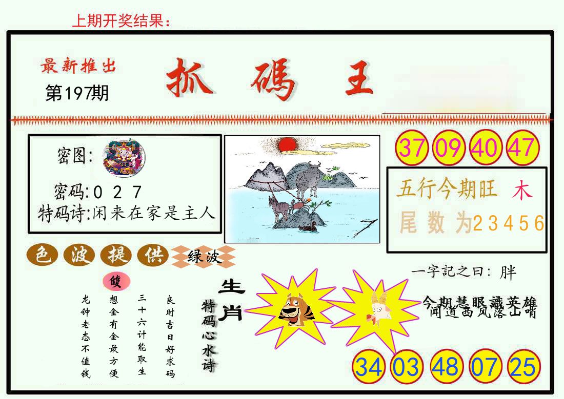 最新抓码王 第197期