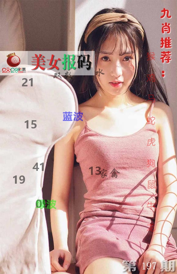 美女报码 第197期