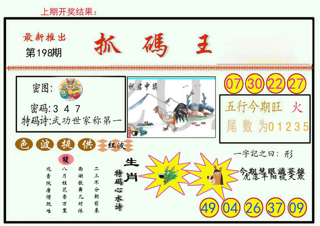最新抓码王 第198期