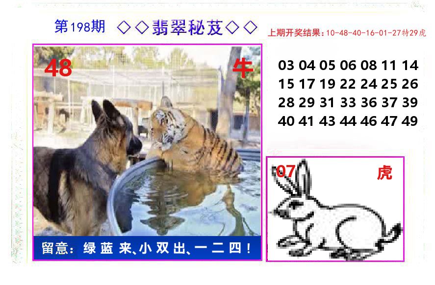 翡翠秘芨 第198期