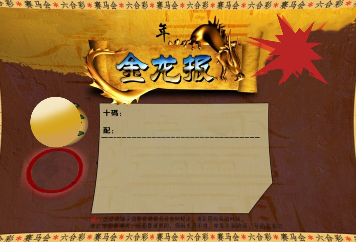 金龙报 第2期