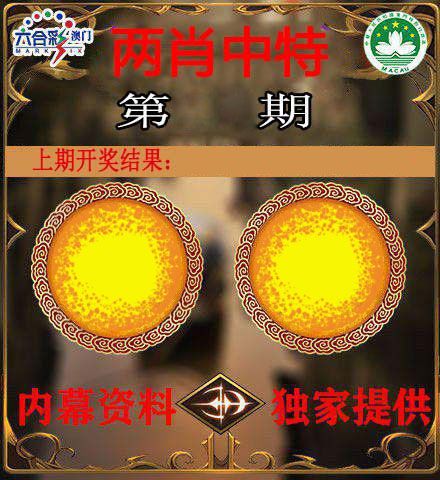 两肖中特 第2期