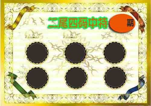 二尾四码中特 第2期