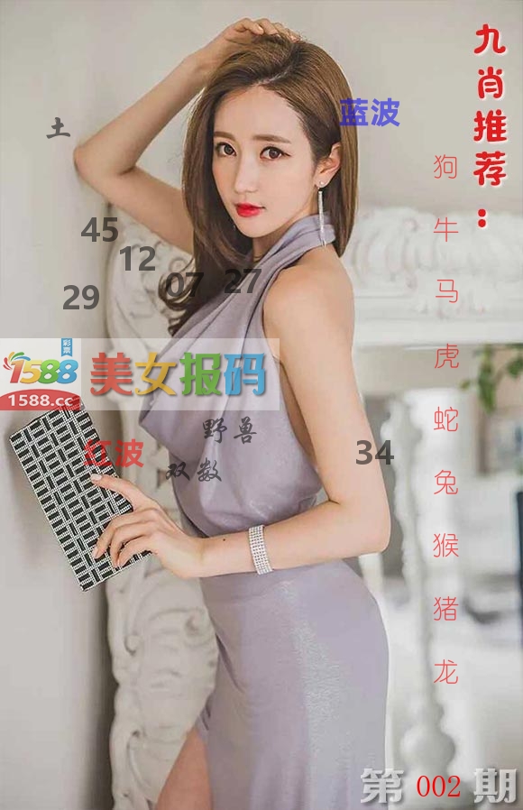 美女报码 第2期