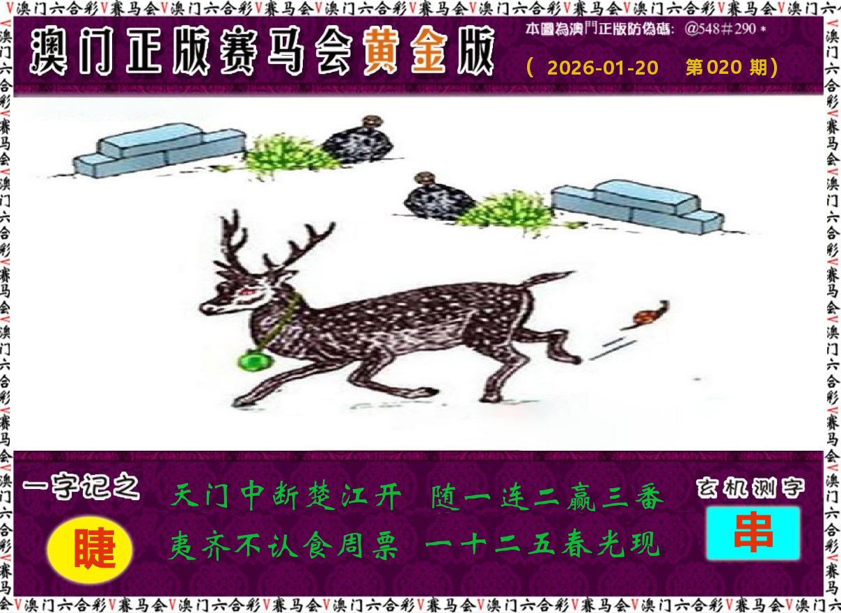 赛马会黄金版 第20期