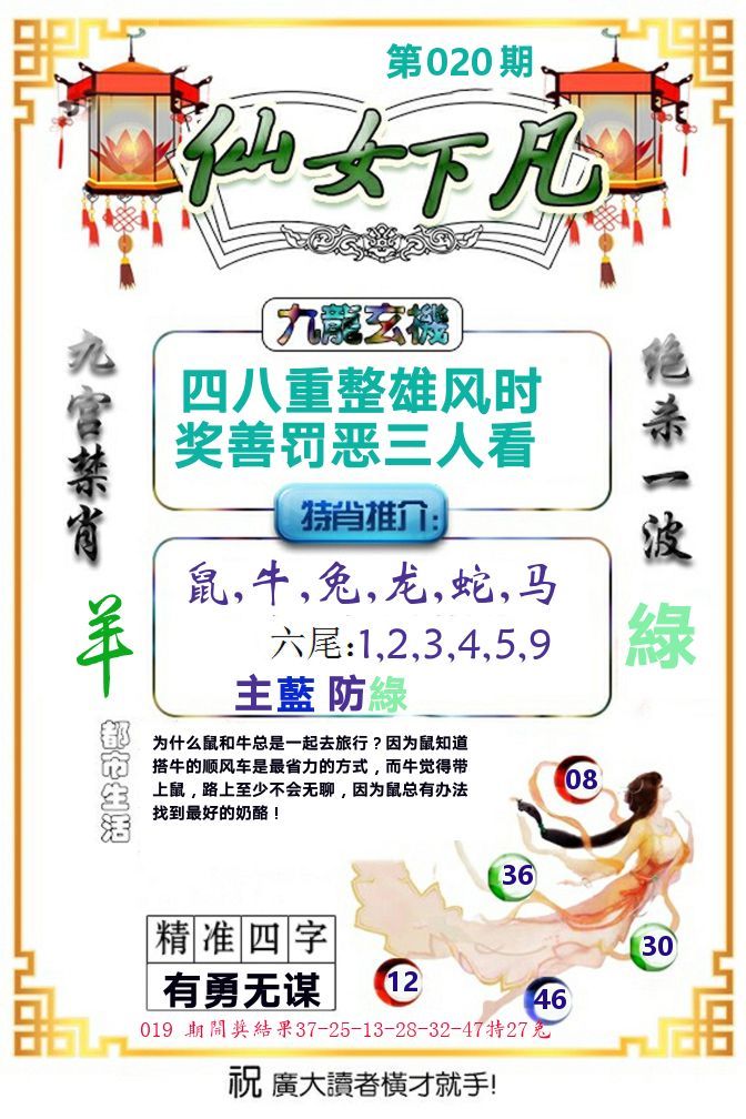 仙女下凡 第20期