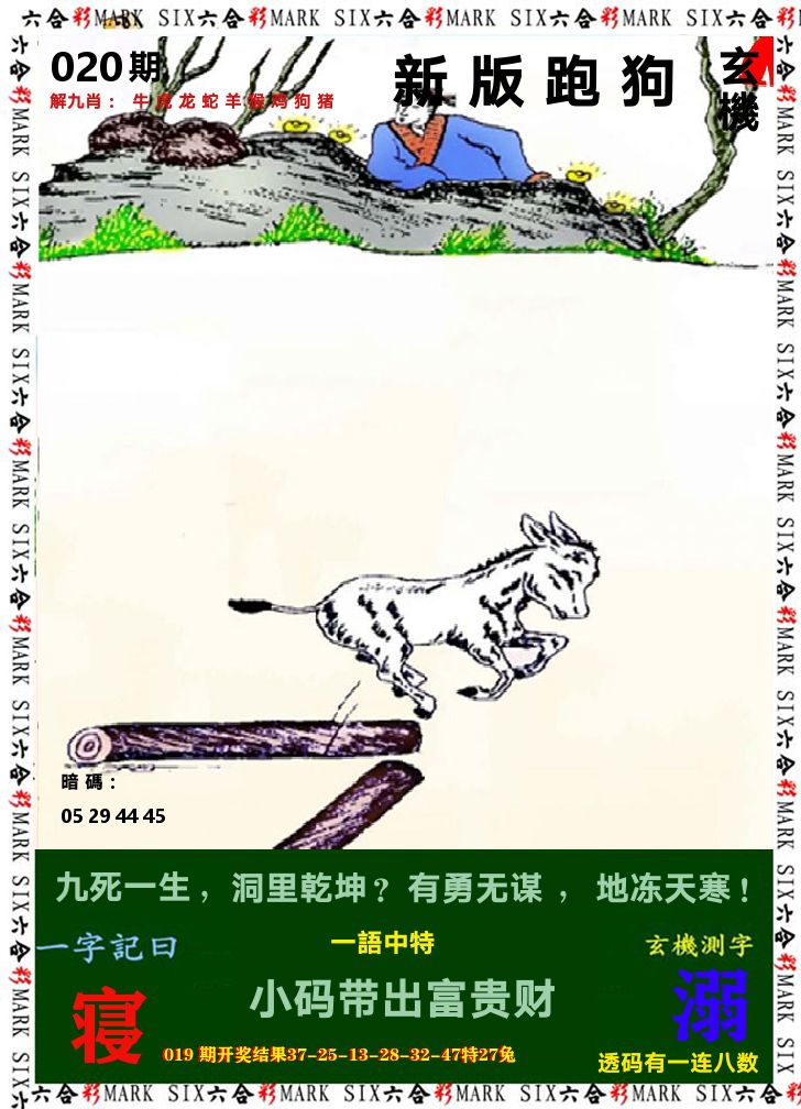 悟入其图 第20期