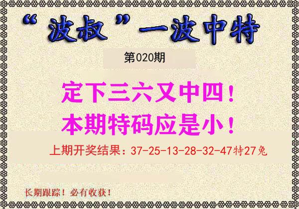 波叔中特 第20期