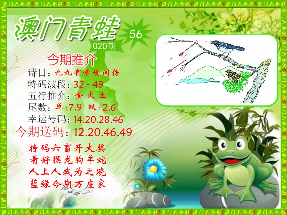 青蛙系列56 第20期