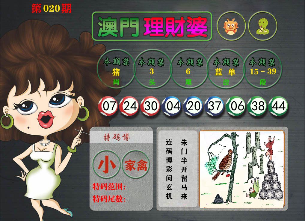 理财婆 第20期
