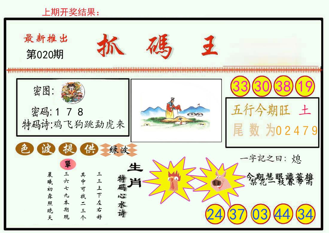 最新抓码王 第20期