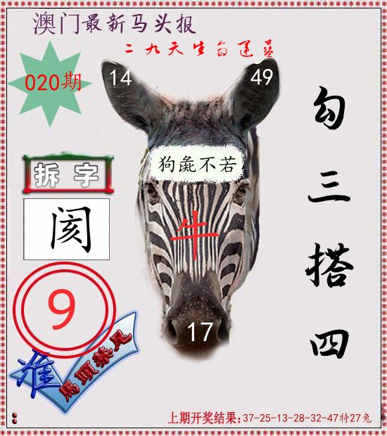 马头报 第20期