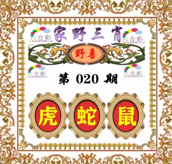 家野三肖 第20期