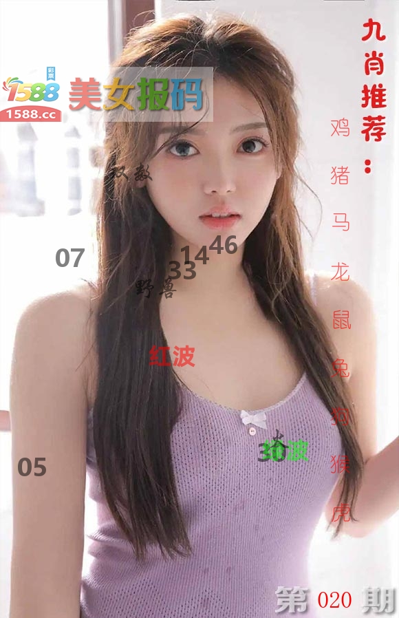 美女报码 第20期