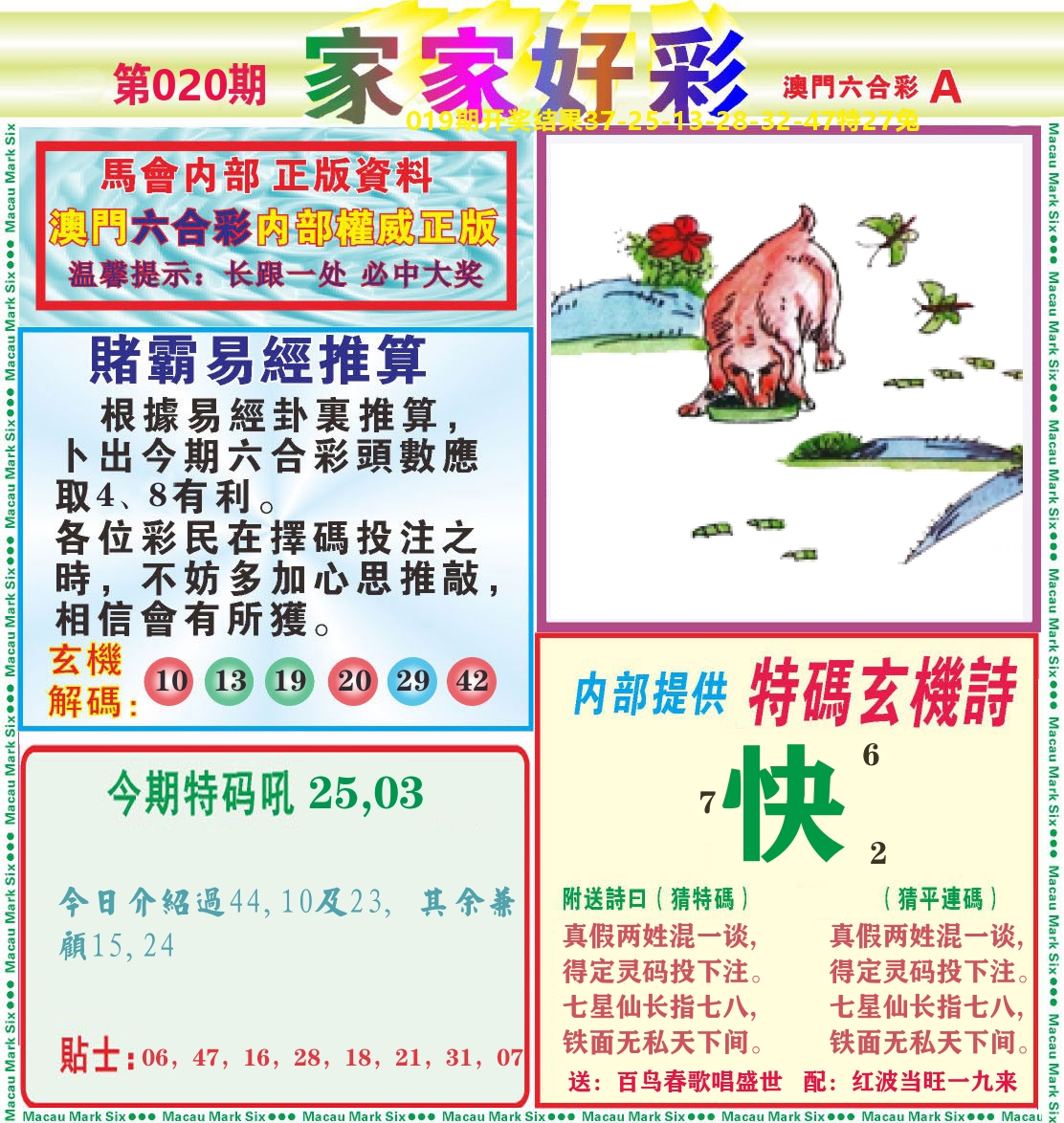 家家好彩A 第20期