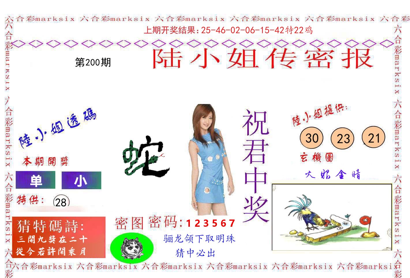 陆小姐密报 第200期
