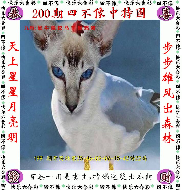 四不像 第200期
