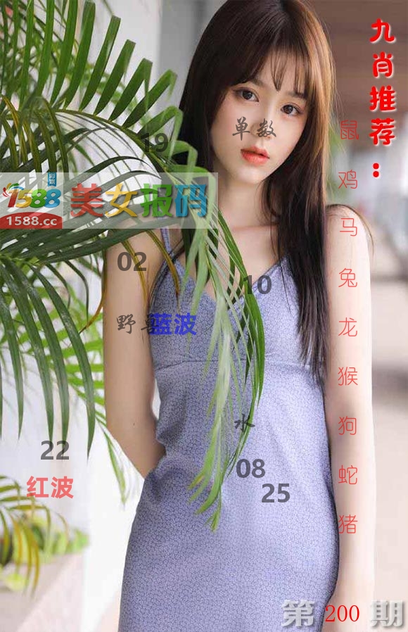美女报码 第200期