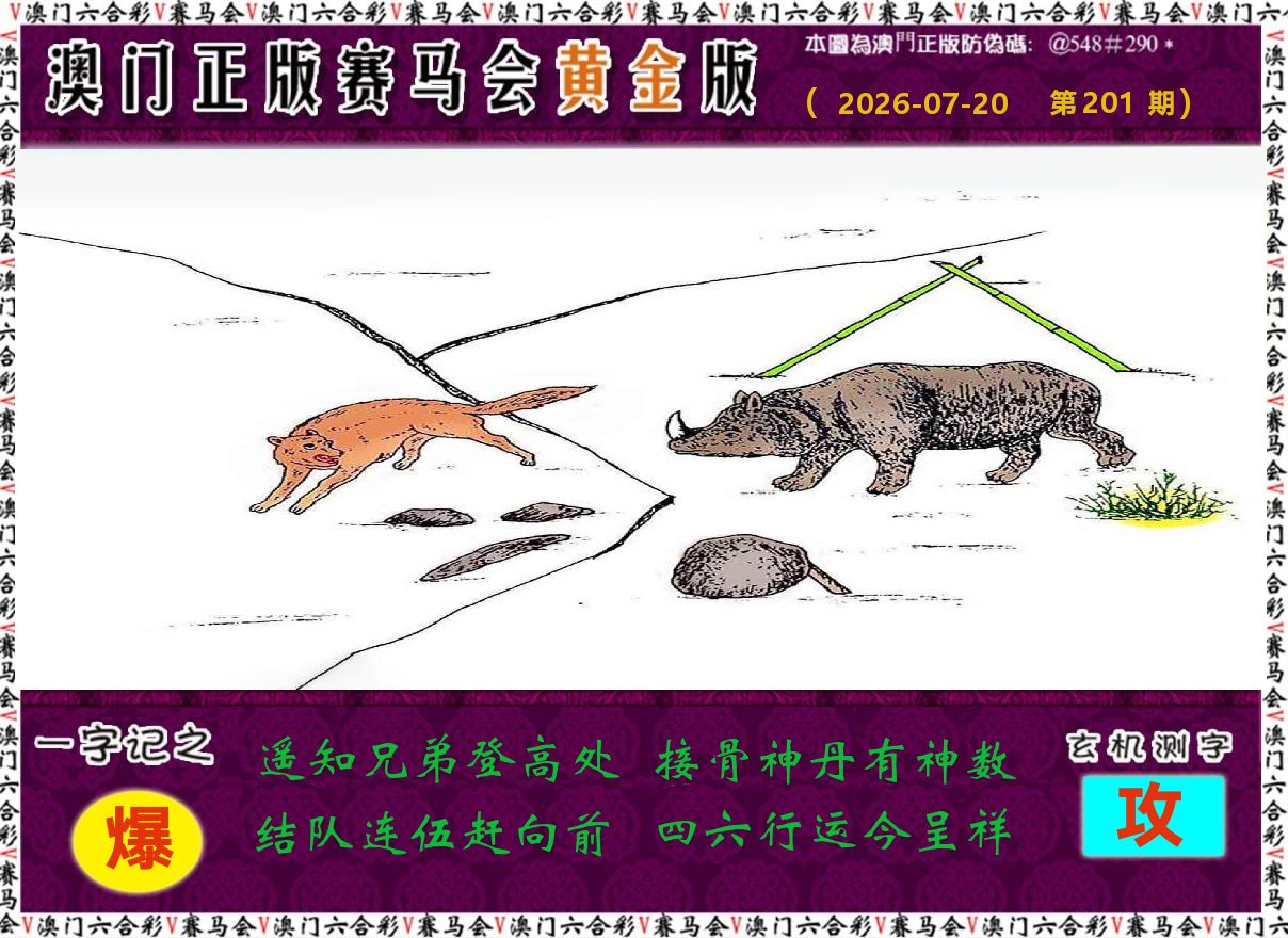 赛马会黄金版 第201期