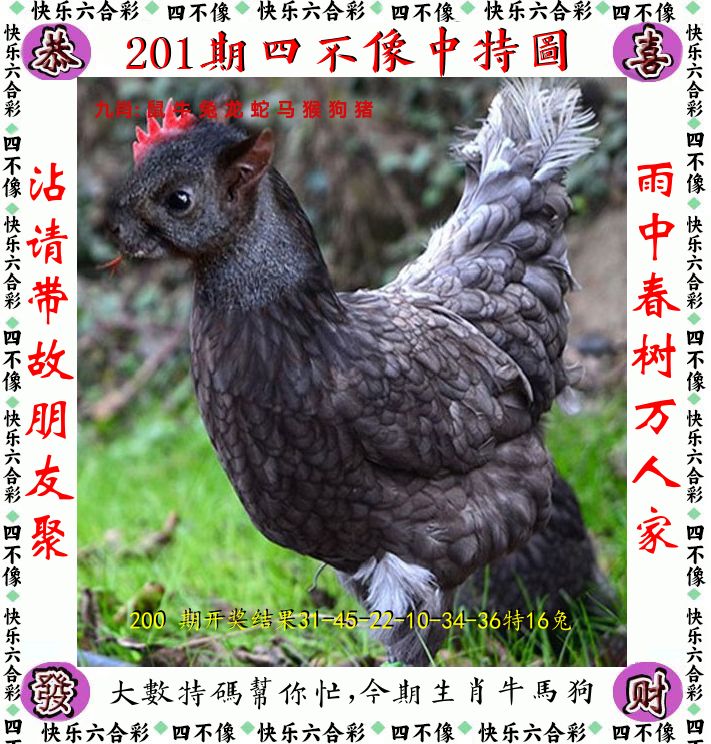 四不像 第201期