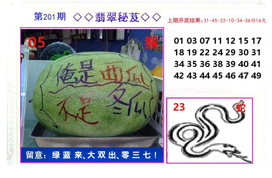 翡翠秘芨 第201期