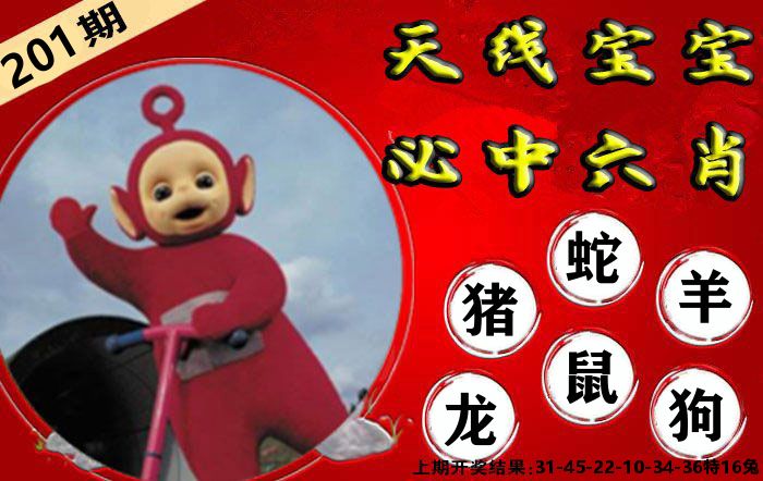 天线宝宝六肖 第201期