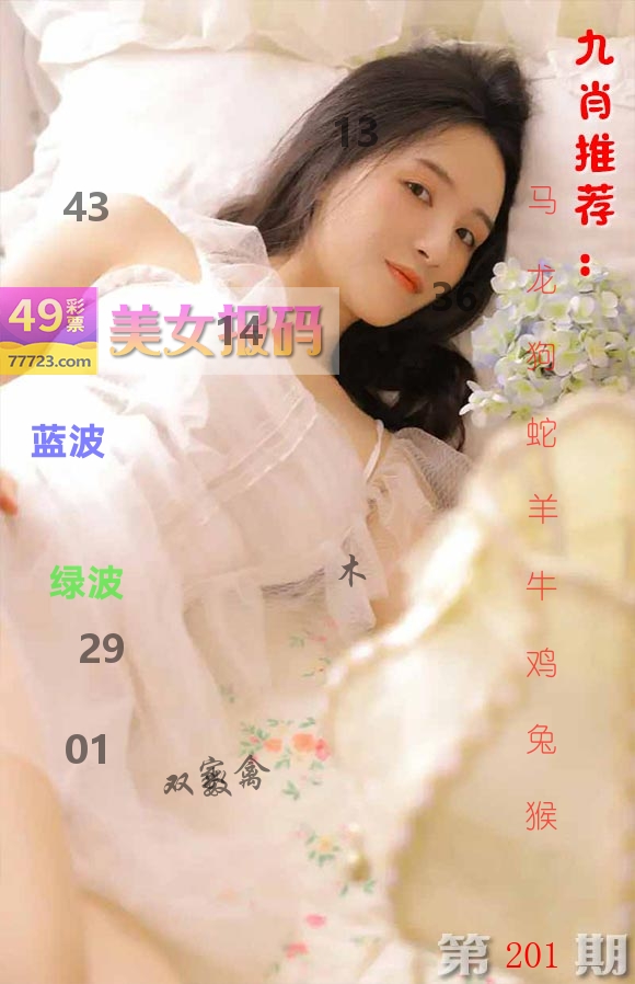 美女报码 第201期