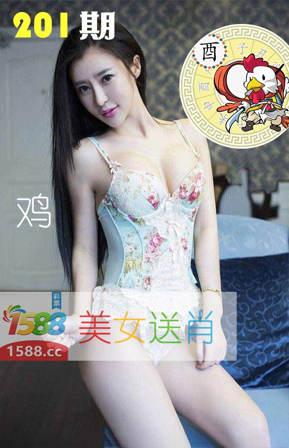 美女送肖 第201期