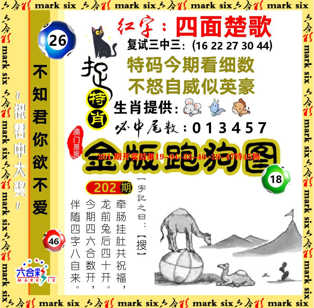金版跑狗图 第202期