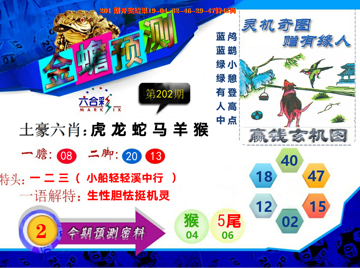 金蟾预测 第202期