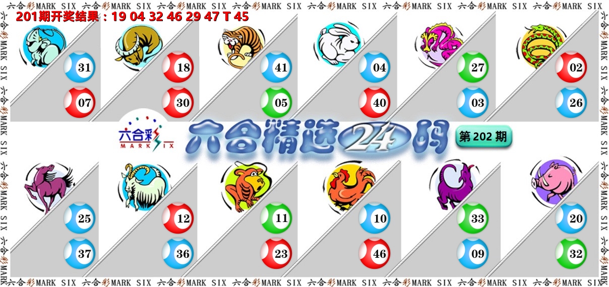 六合精选24码 第202期
